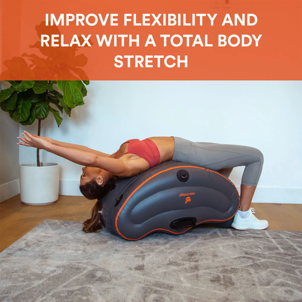 New Image 01421 Fitt Curve - Grey - Image 10